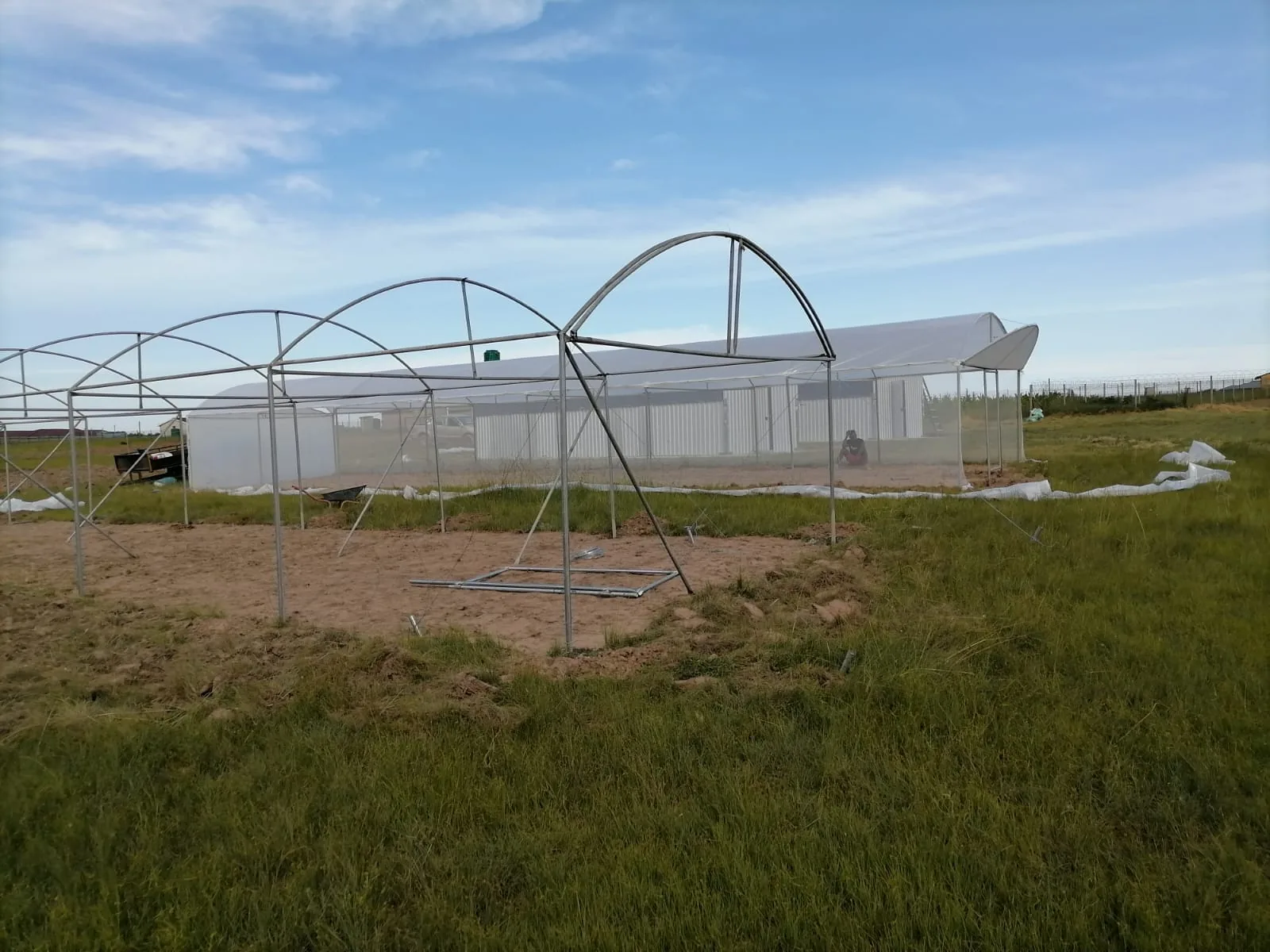 Greenhouse frames being assembled in an open field